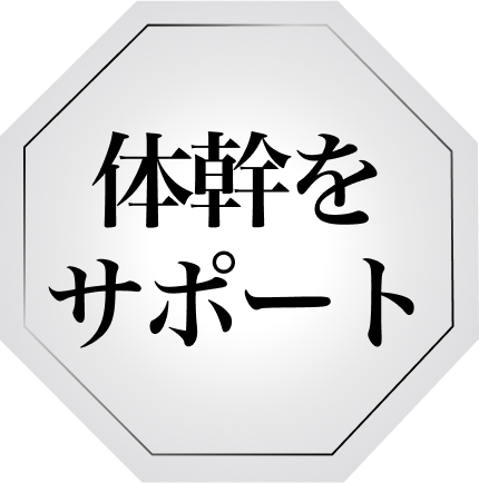 体幹をサポート